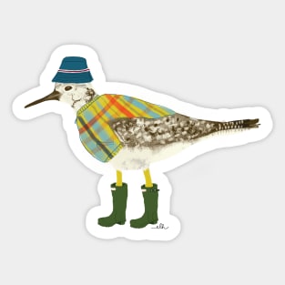 Yellowlegs Sandpiper Sticker